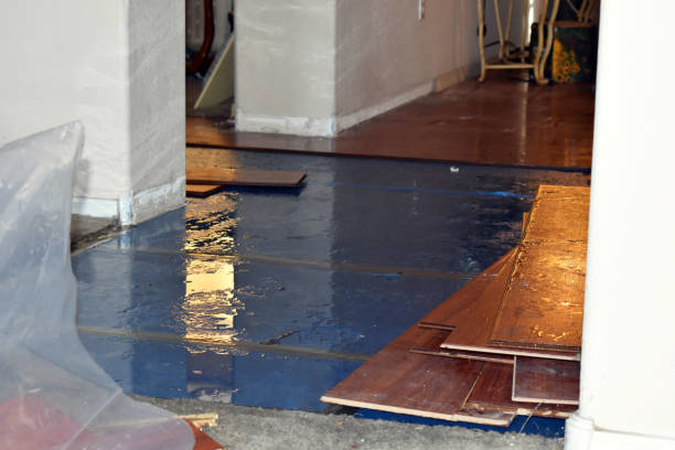 Professional Water Damage Repair technician working in Brinkhaven, OH